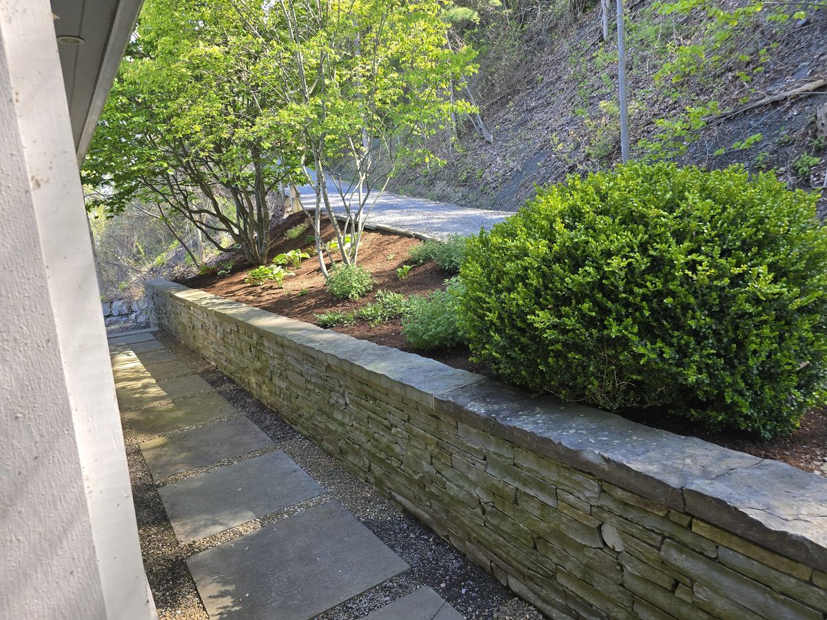 Dry stone retaining wall with a flagstone path and boxwood